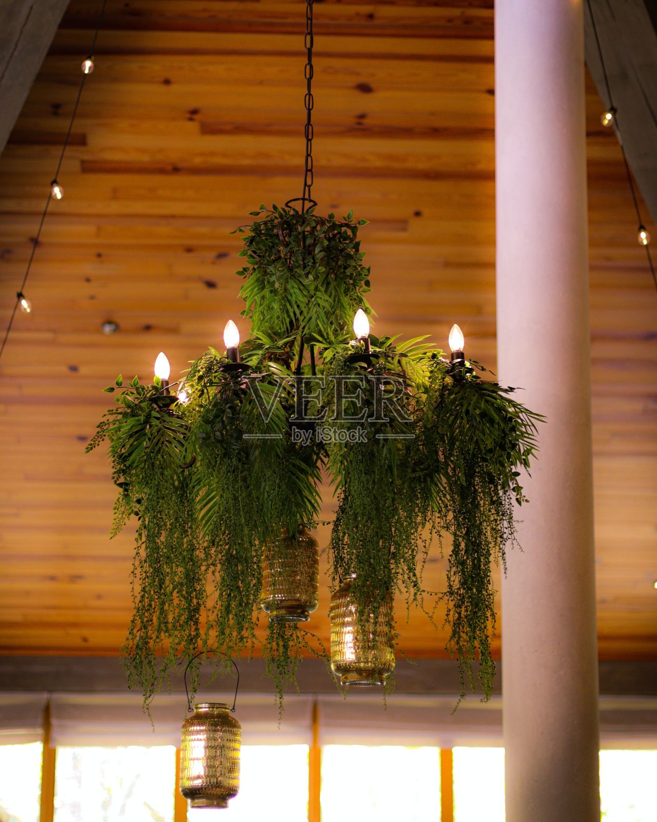 带有人造植物的现代吊灯照片摄影图片