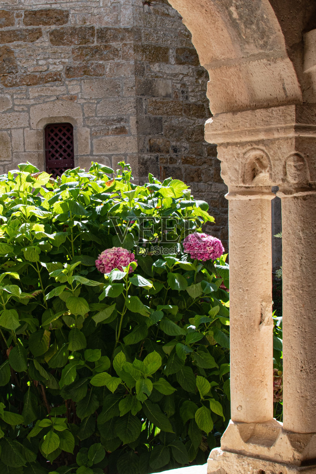 以古建筑和美丽花朵为背景的圆柱垂直拍摄照片摄影图片