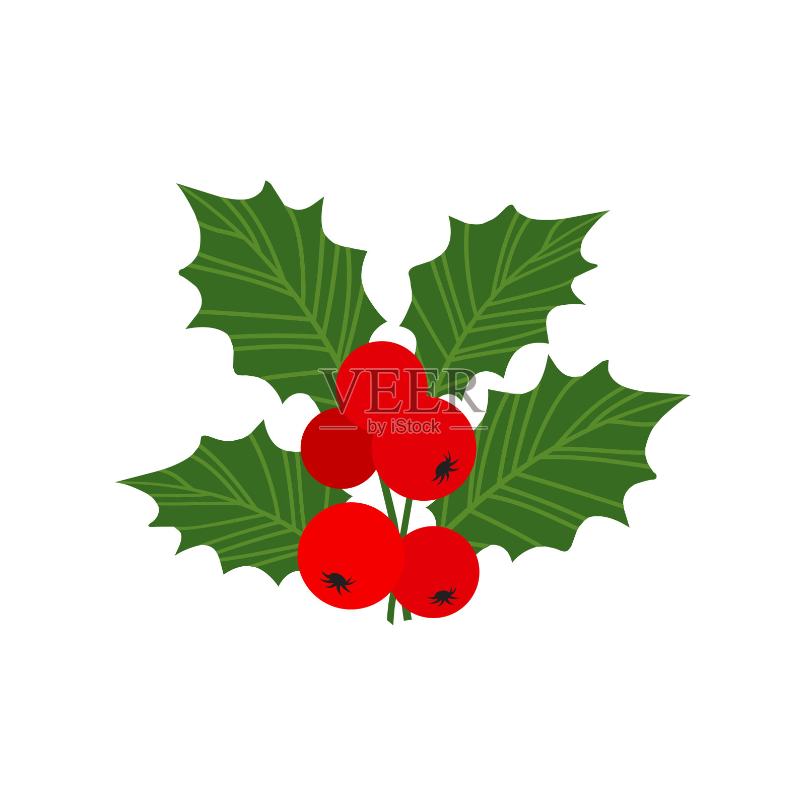 冬青浆果矢量图标，圣诞槲寄生和叶子，红色冬青树枝，卡通圣诞植物。节日性质说明插画图片素材