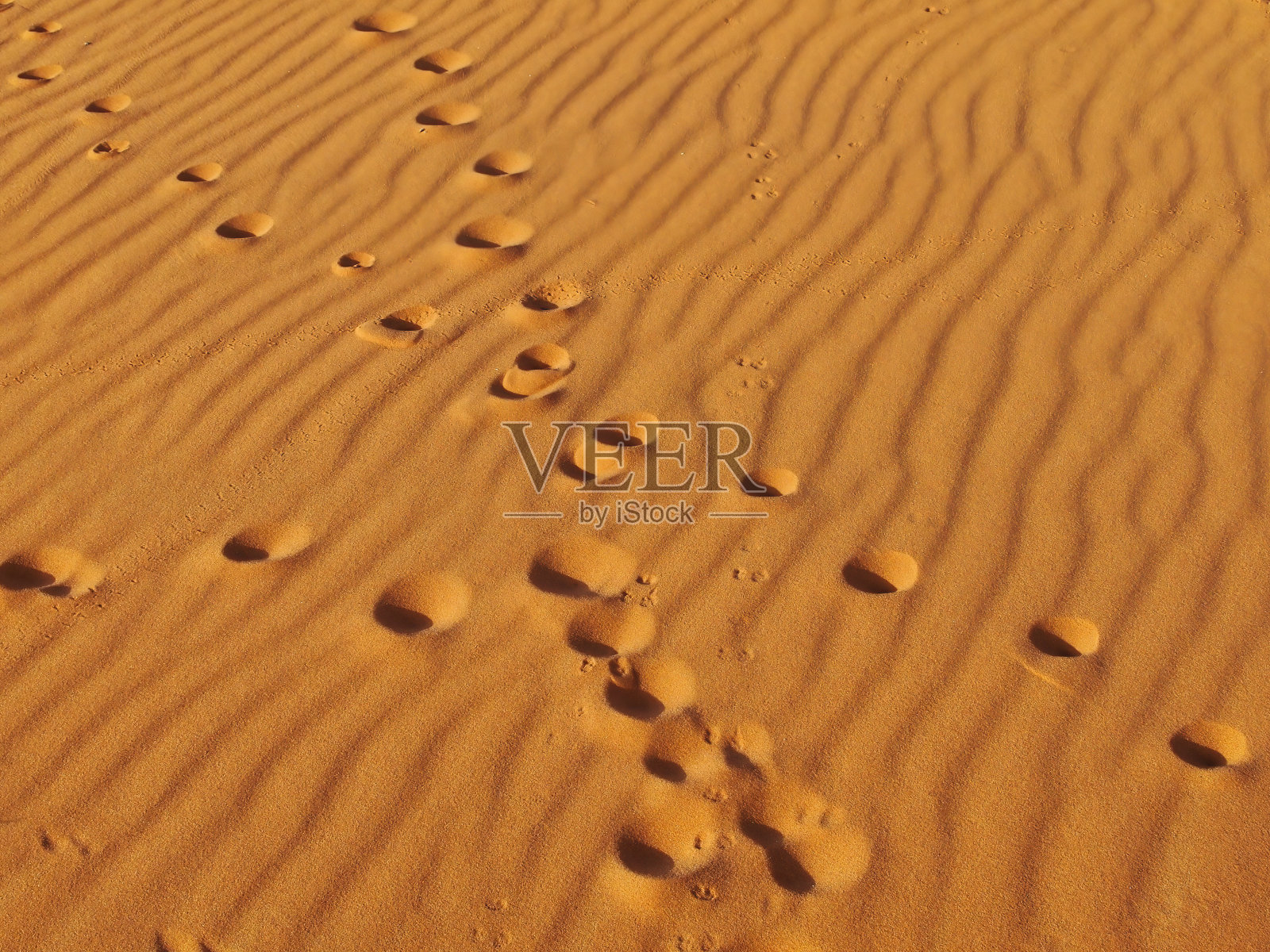 摩洛哥，撒哈拉沙漠沙漠上的脚印特写照片，背景是一个沙丘照片摄影图片