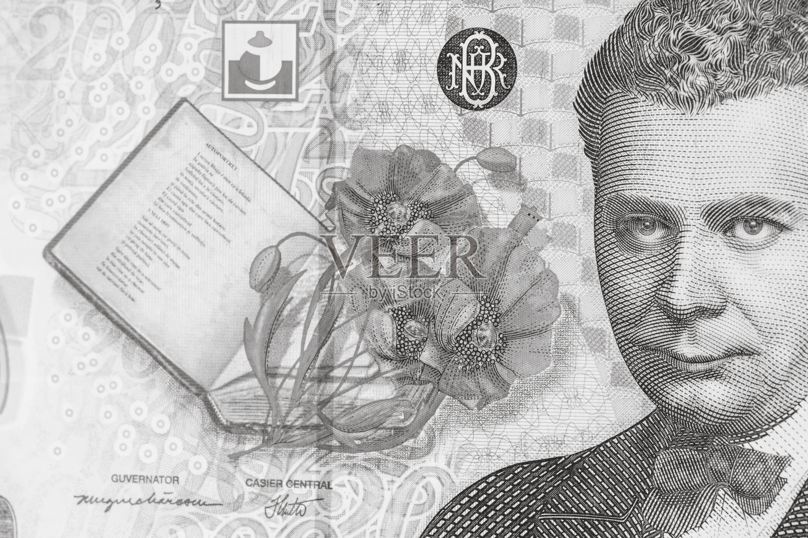 LEI罗马尼亚的钱。欧洲货币和通货膨胀照片摄影图片