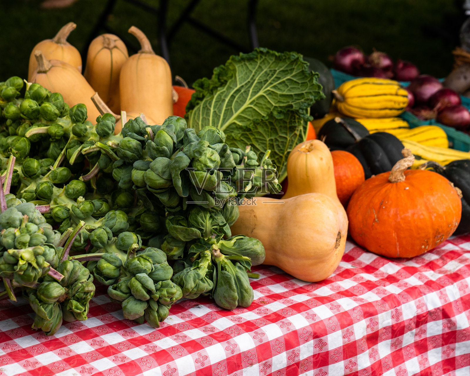 农贸市场红白相间的桌布上放着球芽甘蓝、南瓜、葫芦、红洋葱和卷心菜，照片摄影图片
