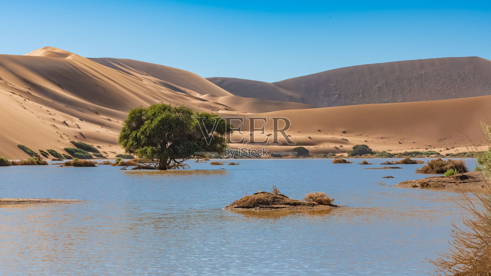 纳米比亚，纳米布沙漠的沙丘，湖泊照片摄影图片