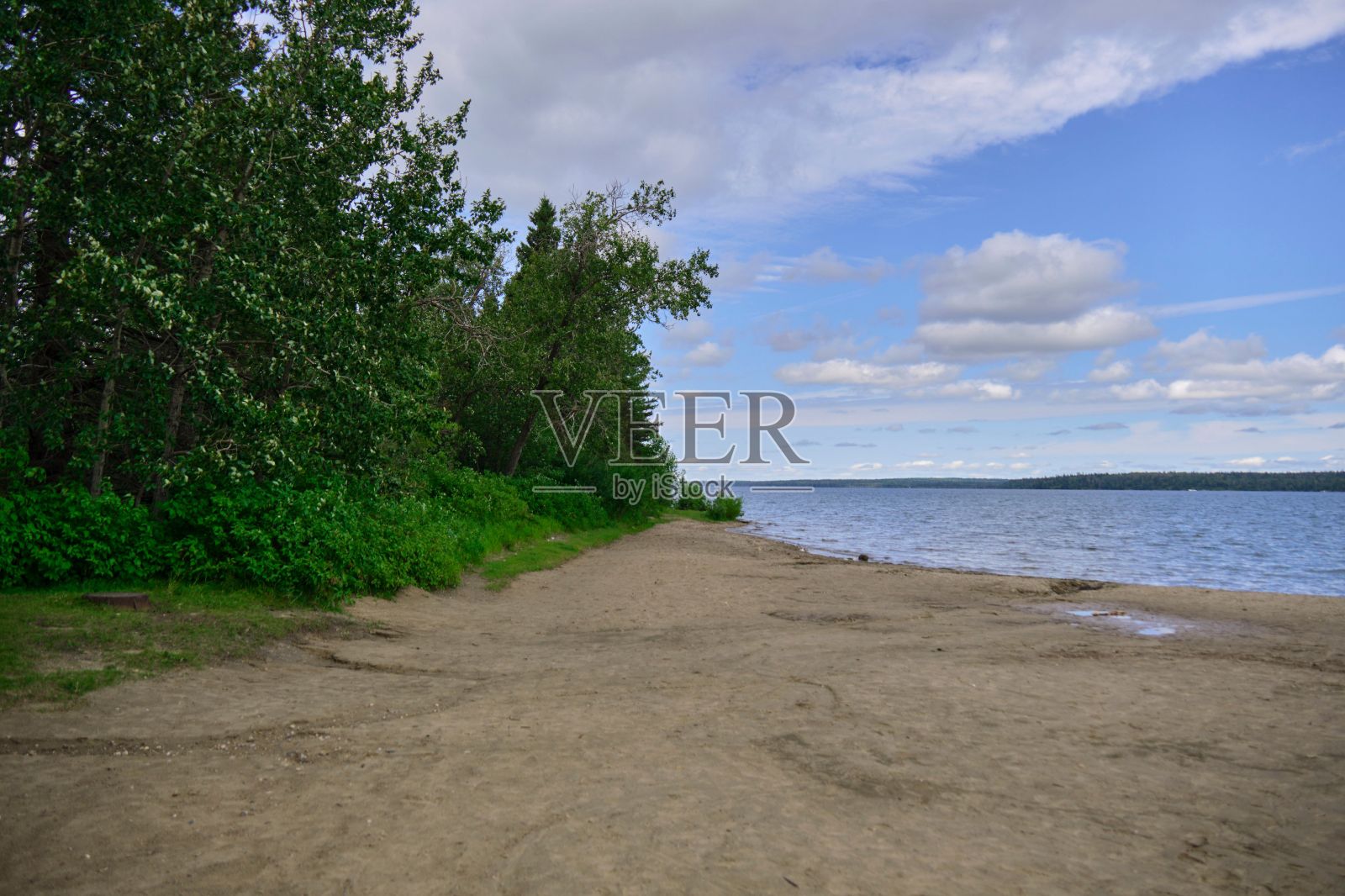 俯瞰湖泊的森林海滩照片摄影图片