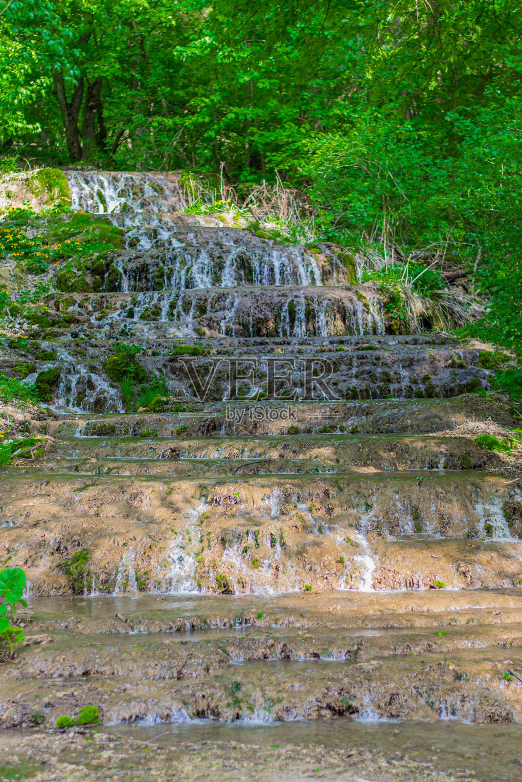 垂直拍摄的水从森林的岩石表面流过照片摄影图片