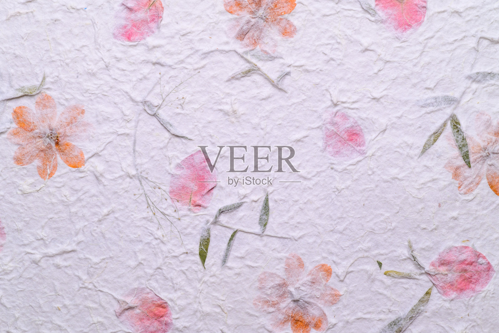 用干花和干叶装饰的桑纸照片摄影图片