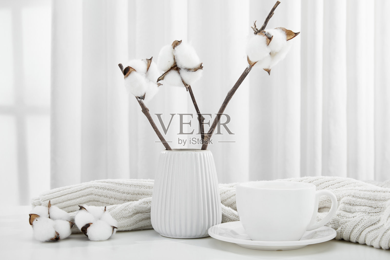 花瓶上的棉花花照片摄影图片