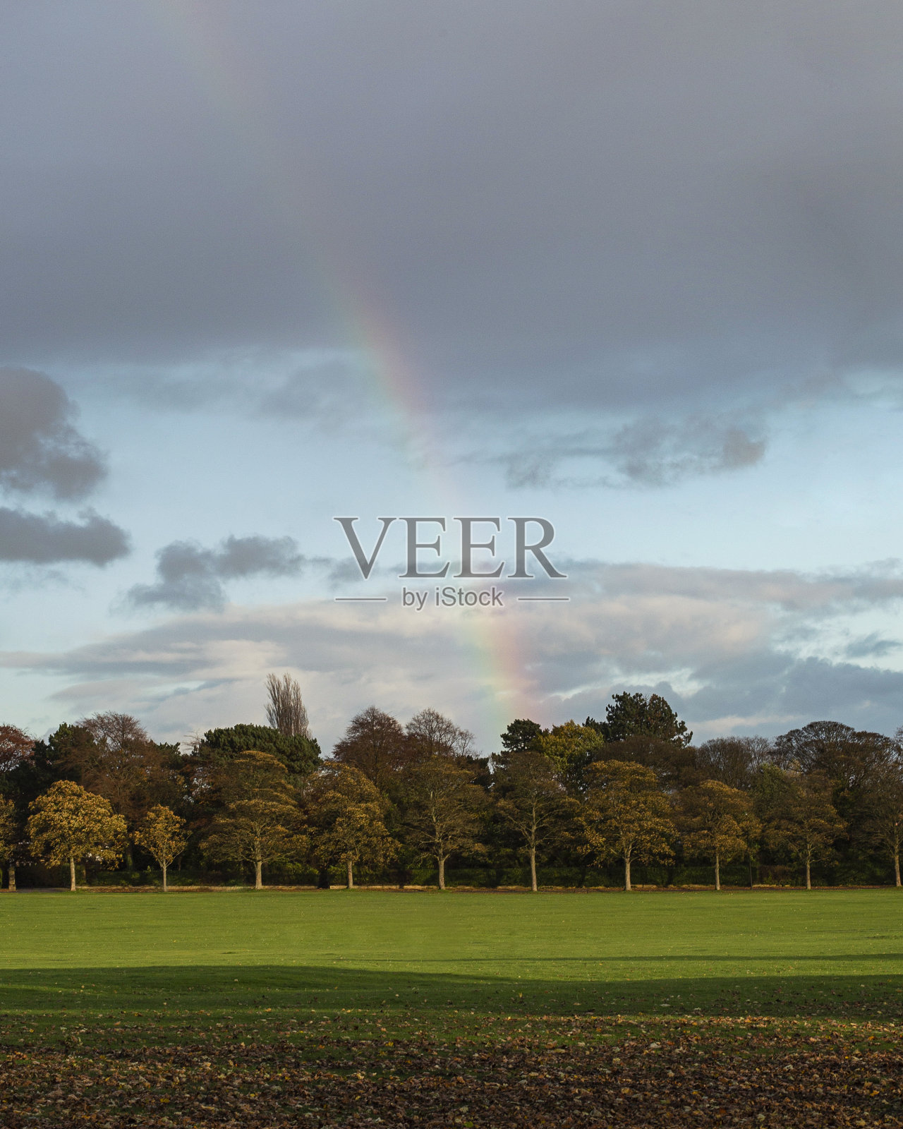 在秋天的白天拍摄的森林上空彩虹的垂直镜头照片摄影图片