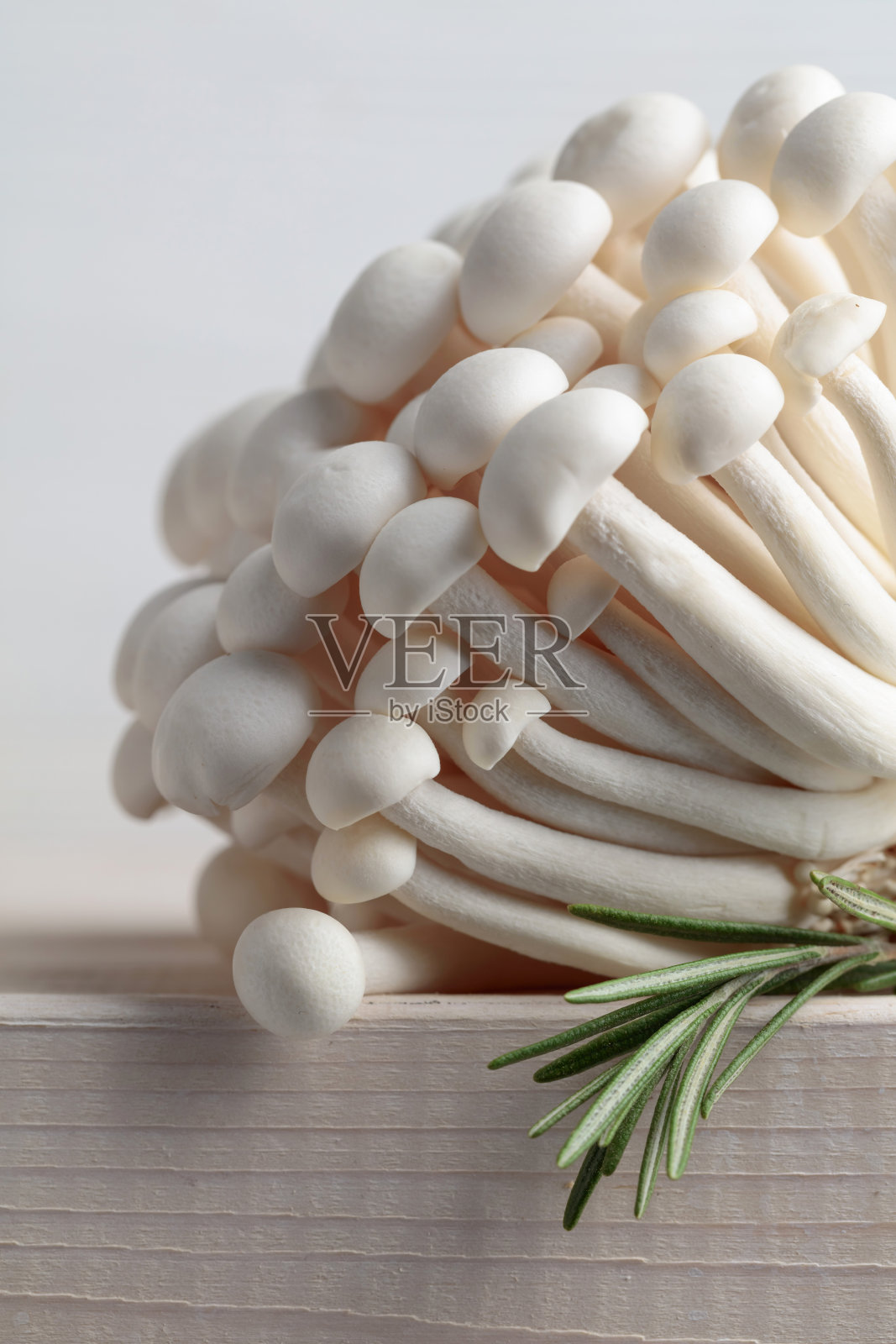 一束下路蘑菇和迷迭香。照片摄影图片