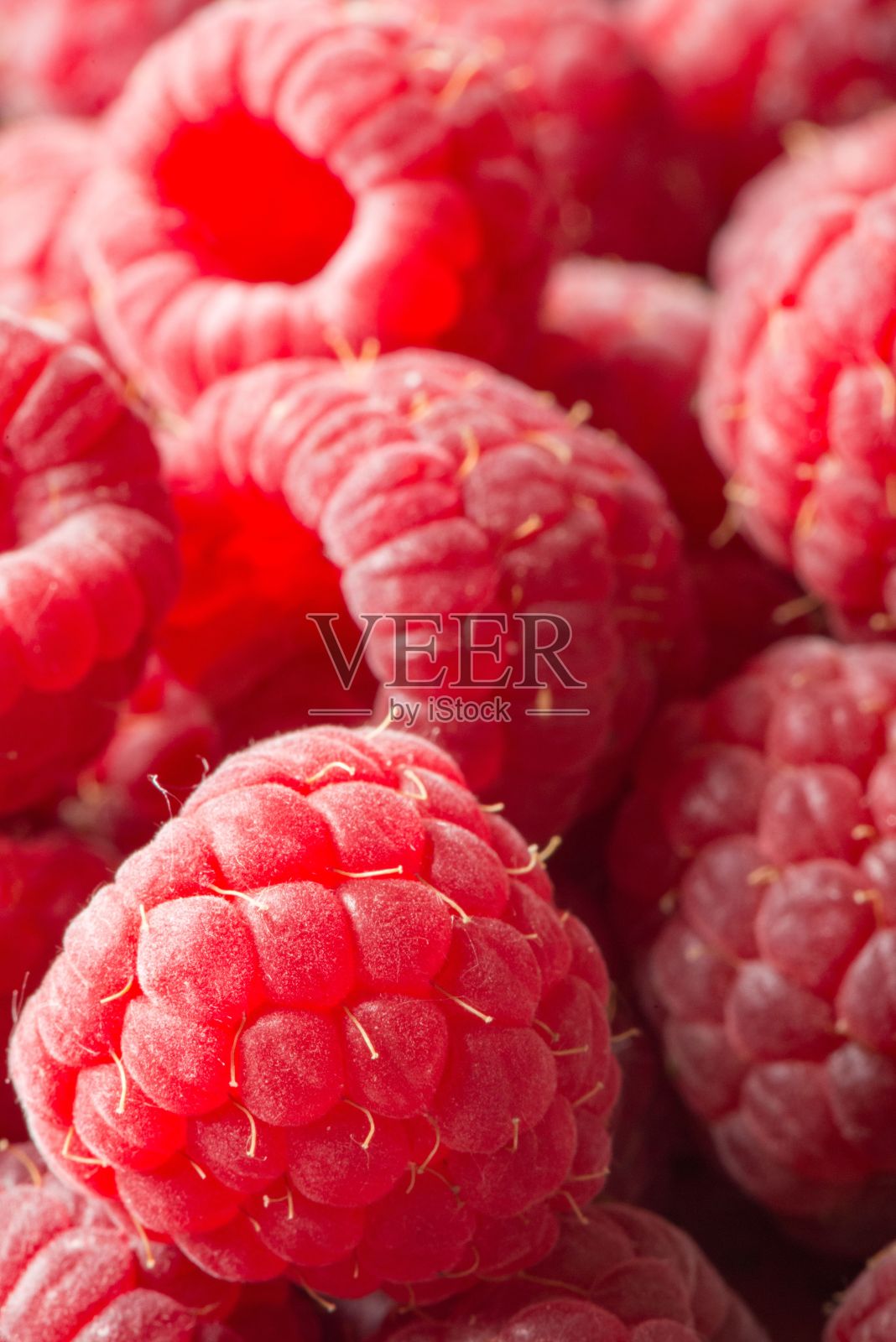 垂直特写树莓照片摄影图片