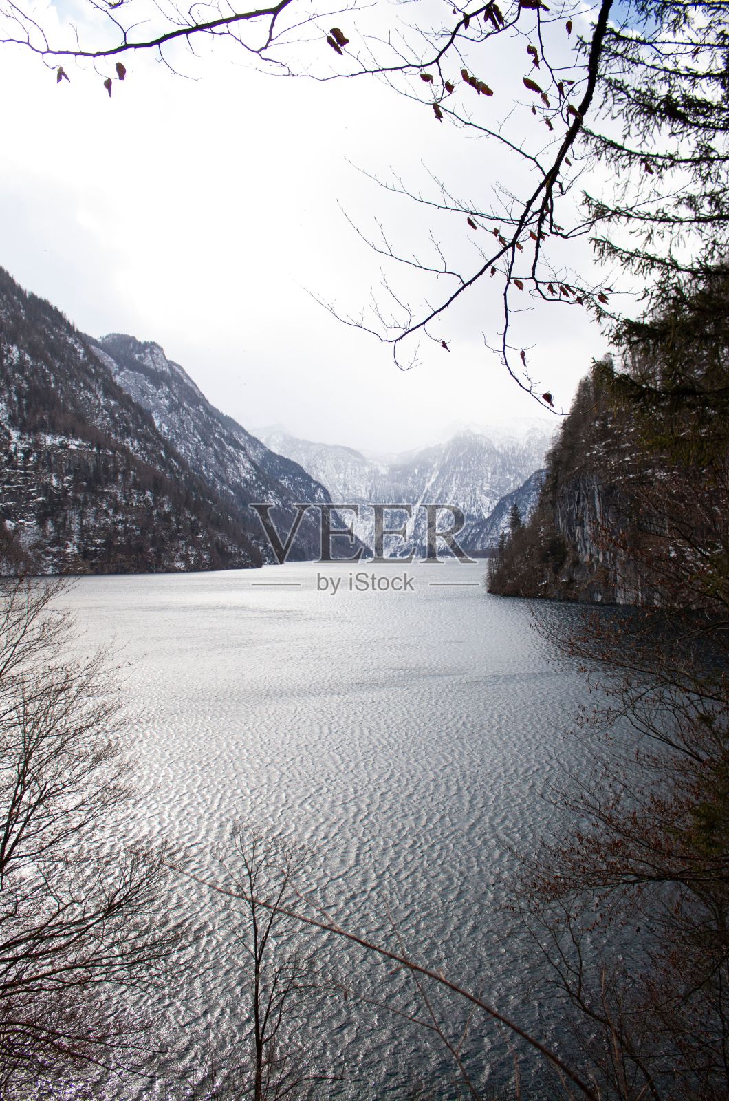 垂直拍摄的湖对岩石和雪山，周围是树枝照片摄影图片