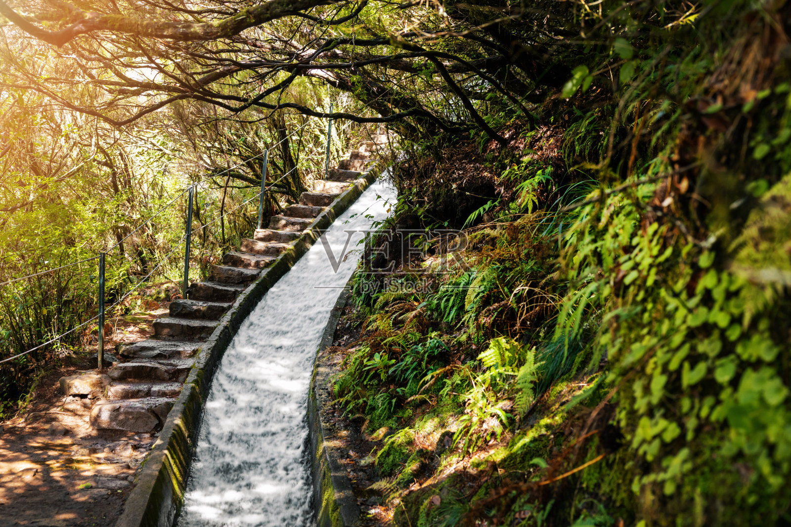 马德拉岛的勒瓦达徒步路线照片摄影图片