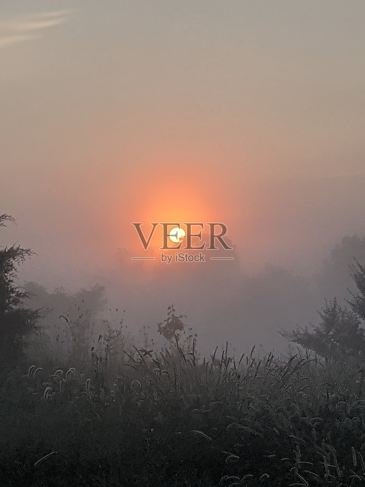 黎明的光照片摄影图片