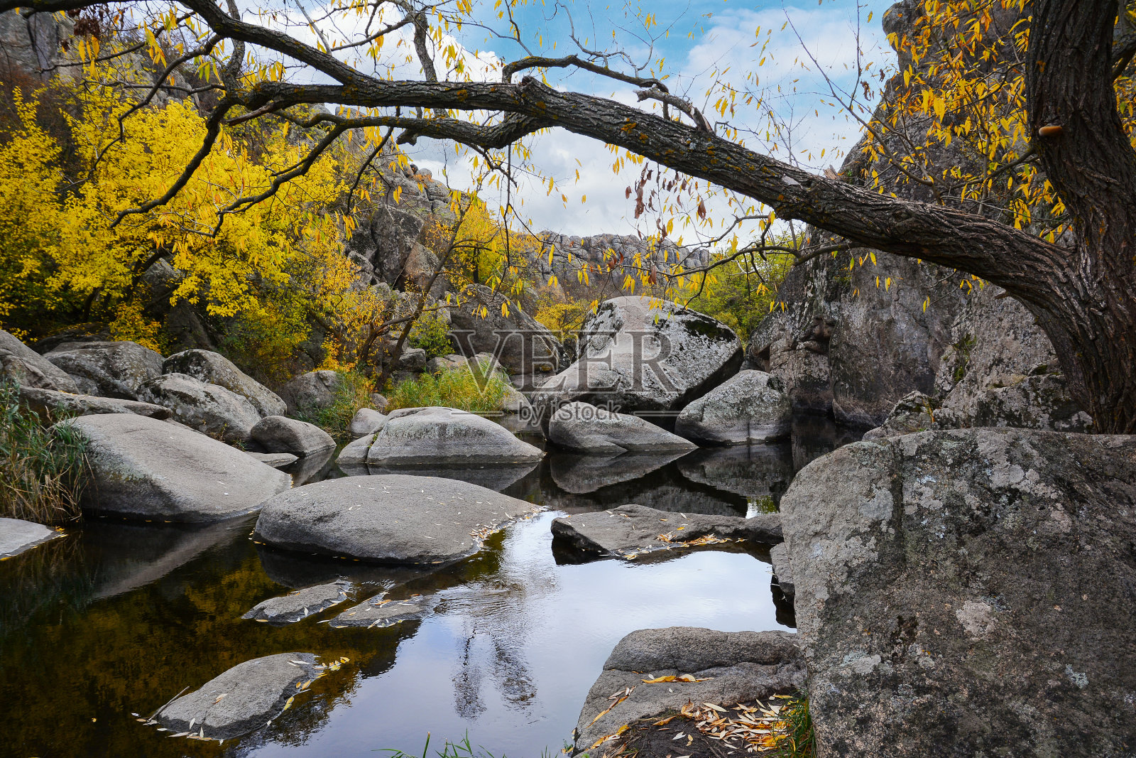 乌克兰阿克托夫村默特沃沃德河河床上的花岗岩峡谷。树木的树叶在秋天的风景中五彩缤纷，落叶的颜色。照片摄影图片
