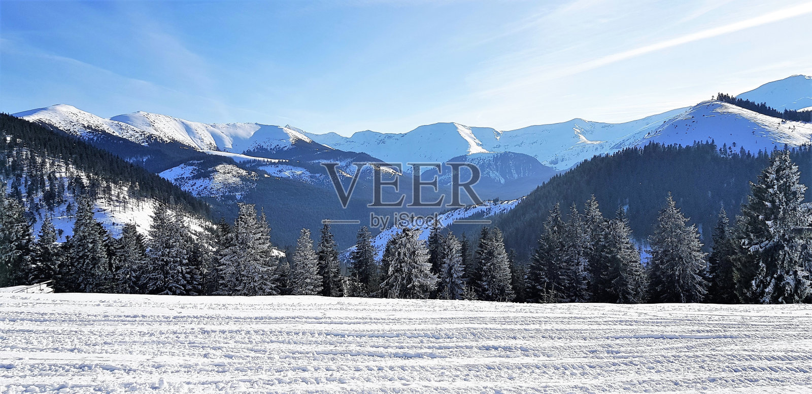 白雪覆盖的森林的美丽照片照片摄影图片