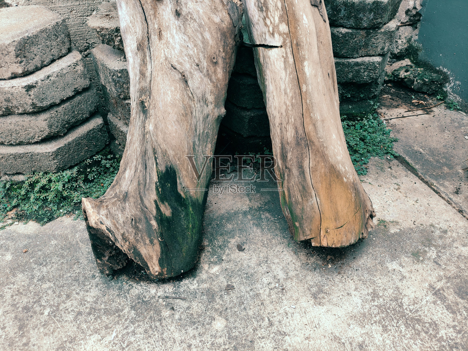 两根老木头，仍然很结实，靠在篱笆旁边。照片摄影图片