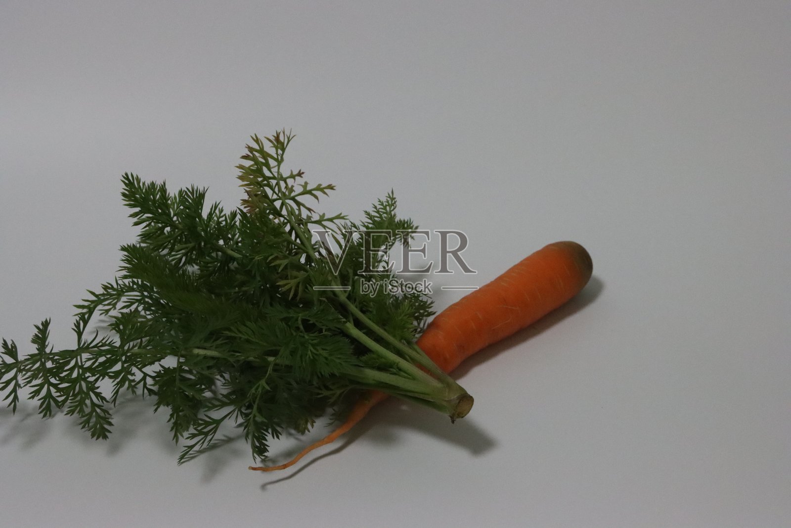 胡萝卜照片摄影图片