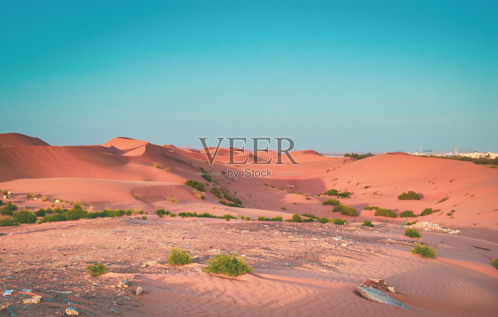 阳光灿烂的日子里的沙漠景观照片摄影图片