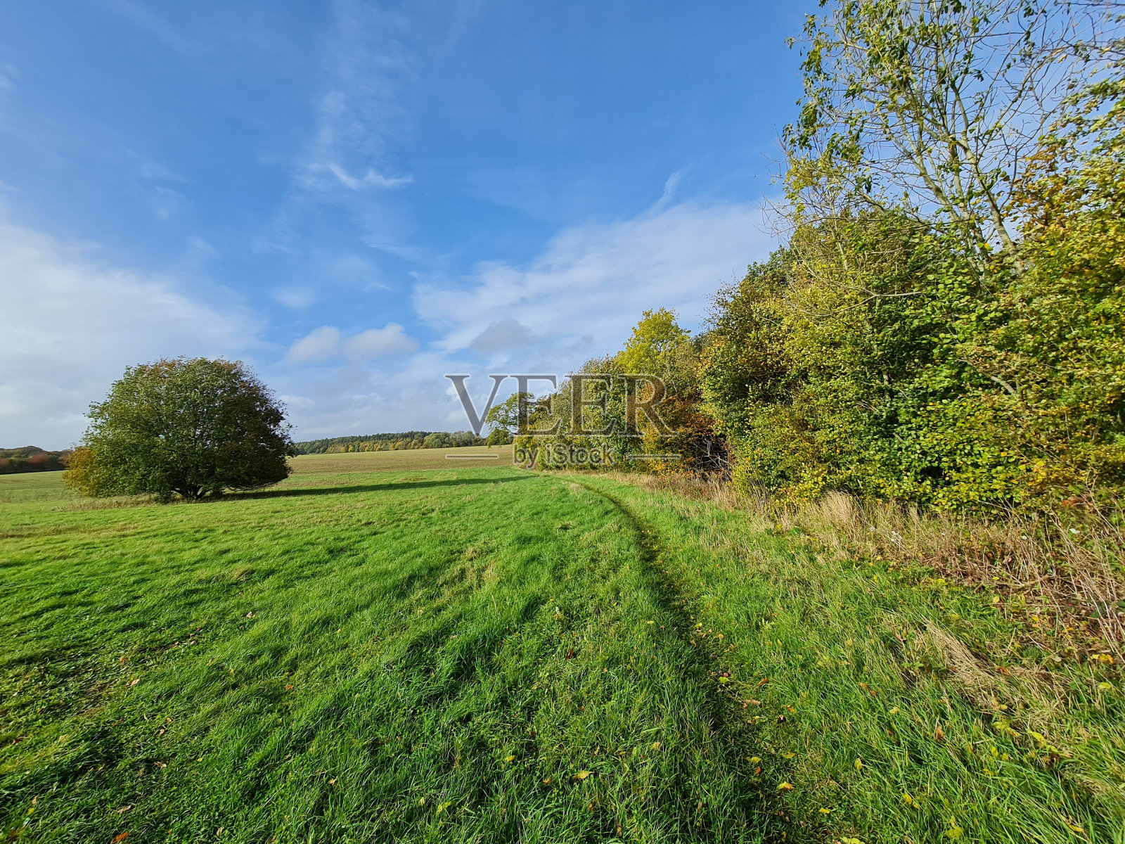 蓝色多云天空下的绿色田野景观。照片摄影图片