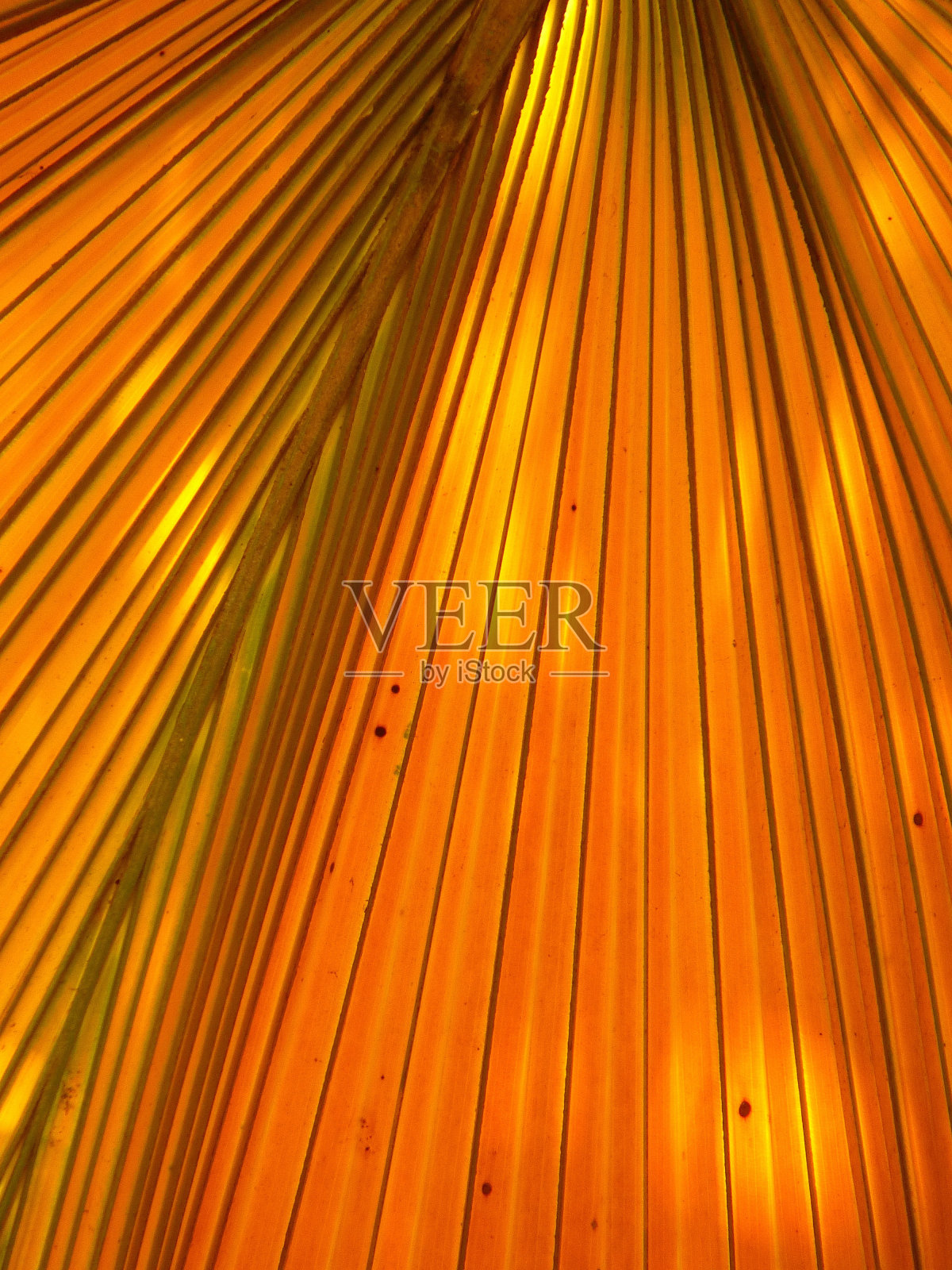 垂直拍摄的橙色图案表面-完美的背景照片摄影图片