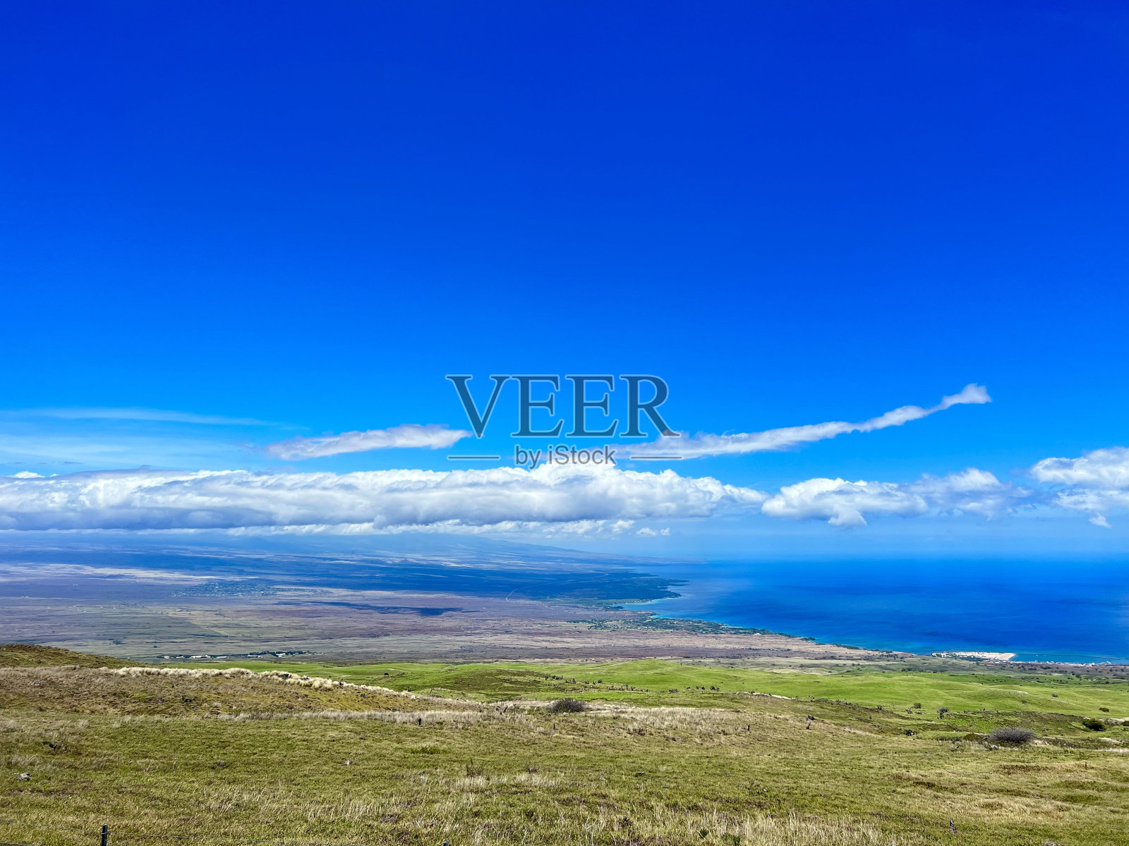 蓝天下，阳光灿烂的一天，蓝色的海洋旁的大田野照片摄影图片