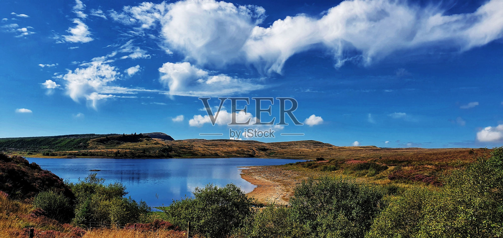 在一个阳光明媚的夏天，美丽的自然景观和一个小湖的全景照片摄影图片