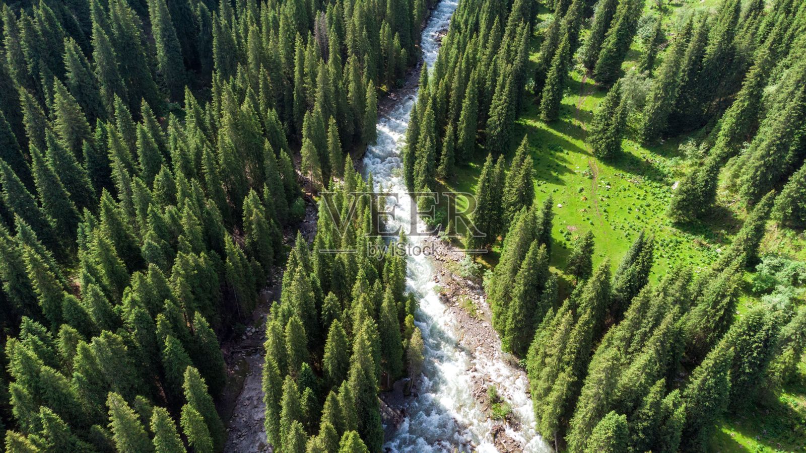 森林鸟瞰图照片摄影图片