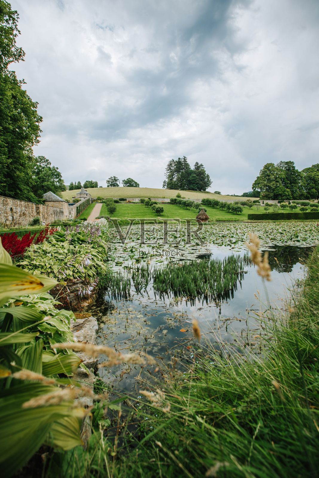 美丽的池塘在翠绿的公园与多云的天空，在一个垂直的镜头照片摄影图片