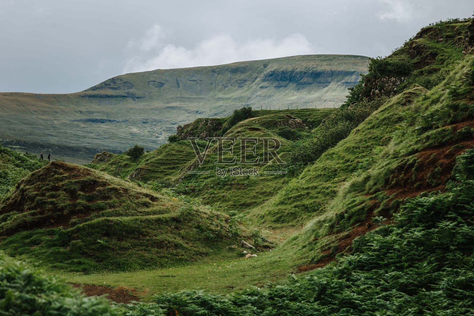 在一个阴沉的日子里，天空岛上美丽的山峦和树木景观照片摄影图片