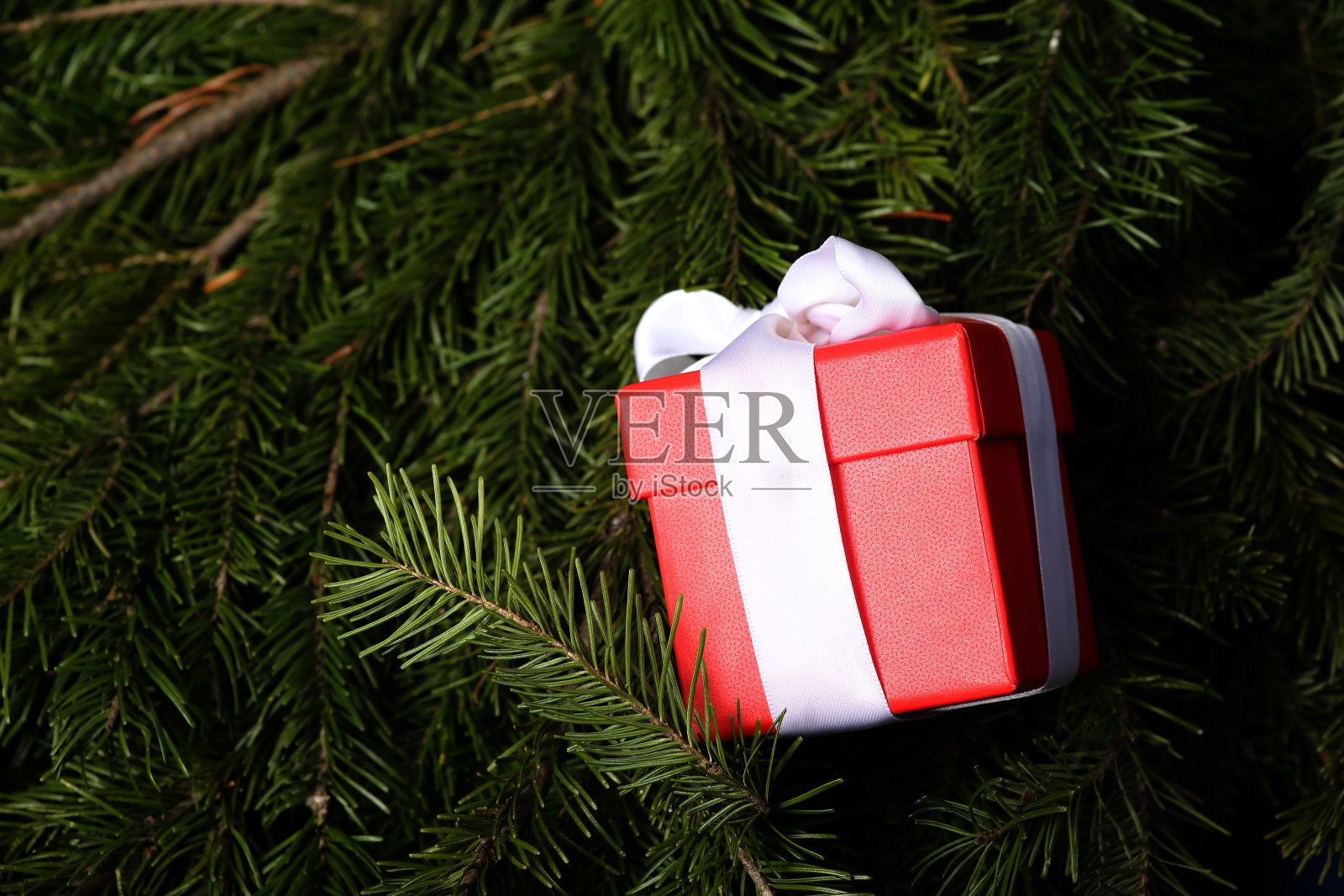 圣诞礼物在毛皮树早午餐平躺。冬天的概念。映像包含复制空间照片摄影图片