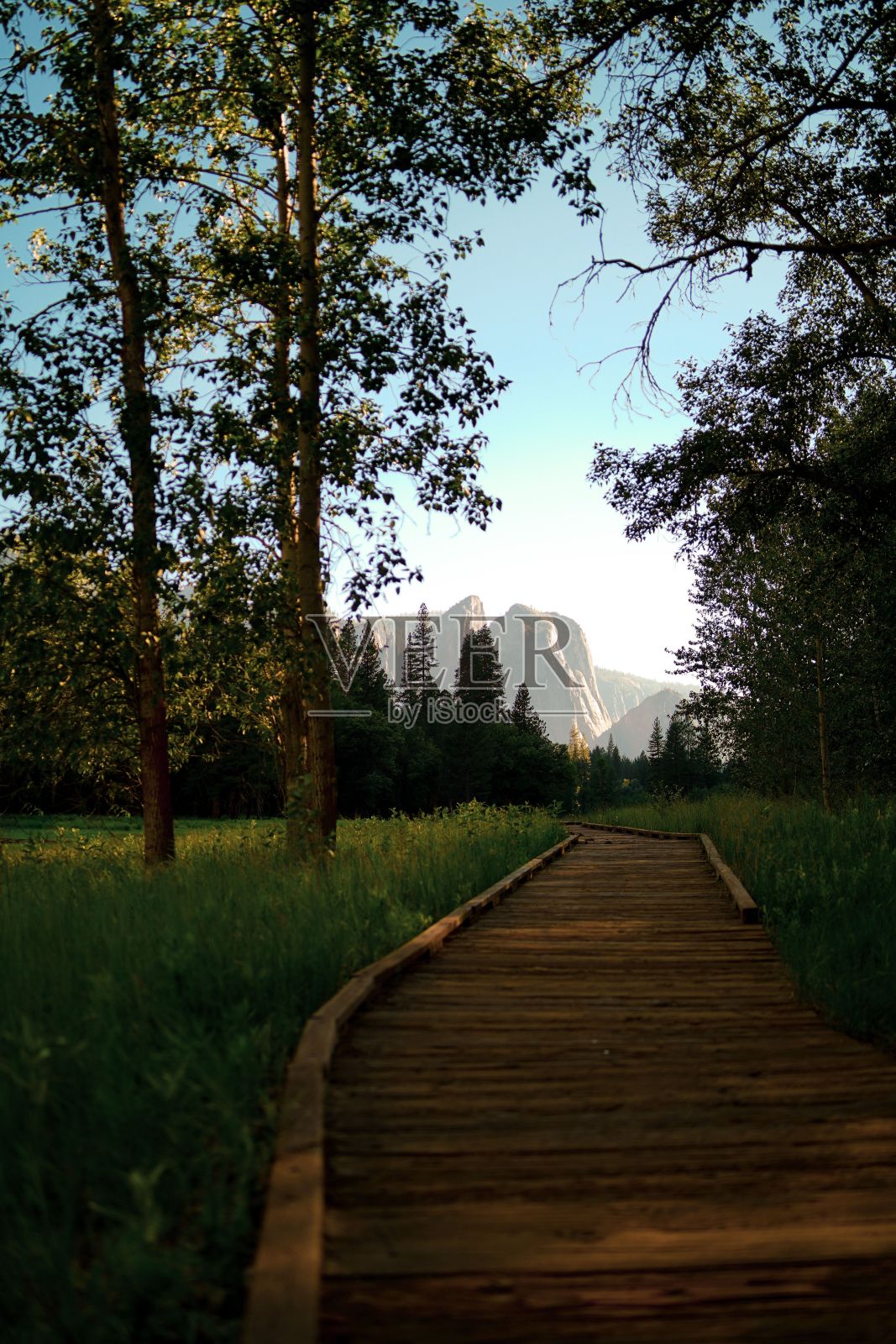 垂直拍摄的穿过森林通向山脉的木路照片摄影图片