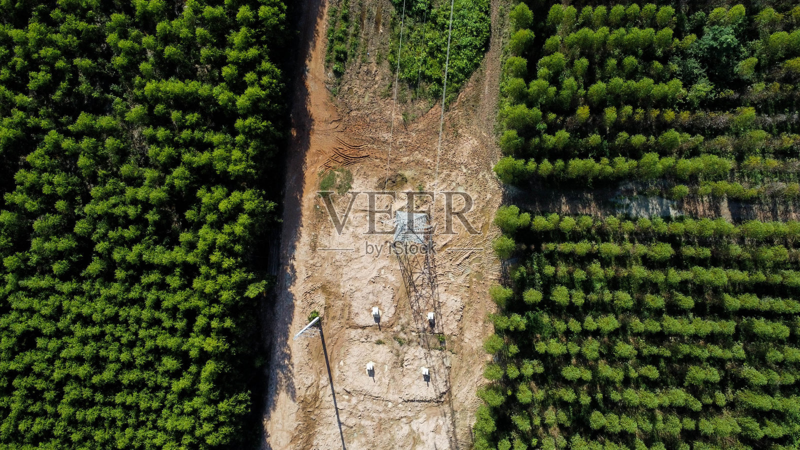 高压塔架基础施工现场鸟瞰图。森林中电线建设的俯视图。照片摄影图片