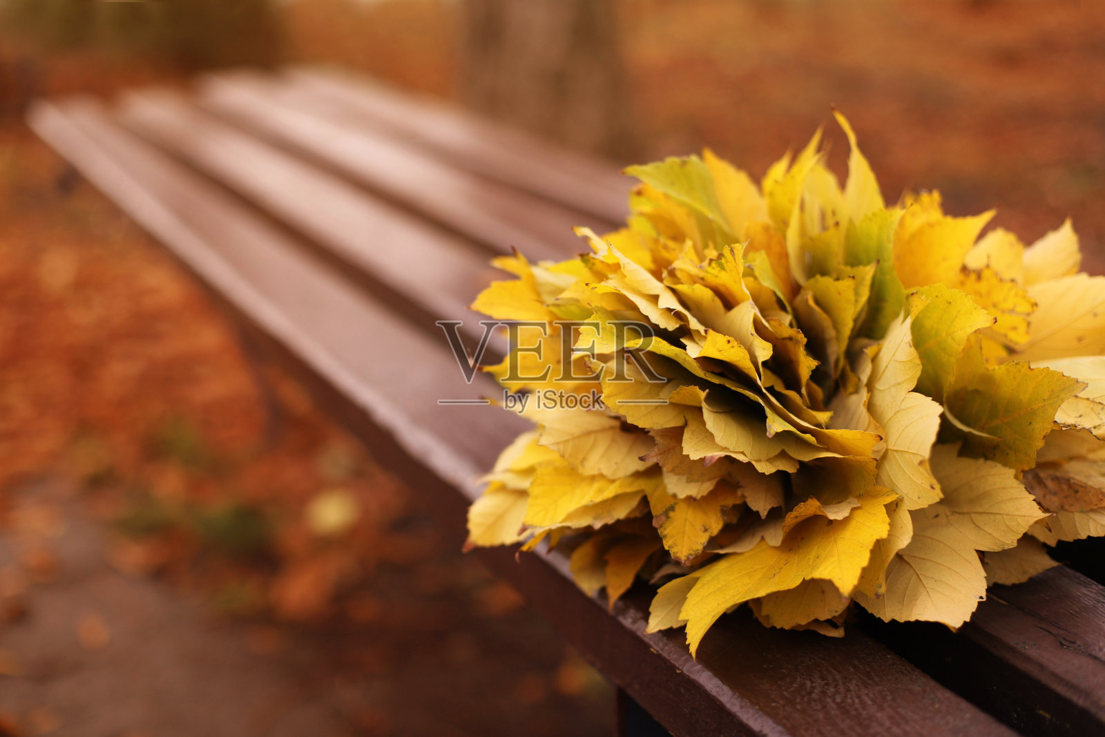 一束黄色的秋叶放在长凳上照片摄影图片