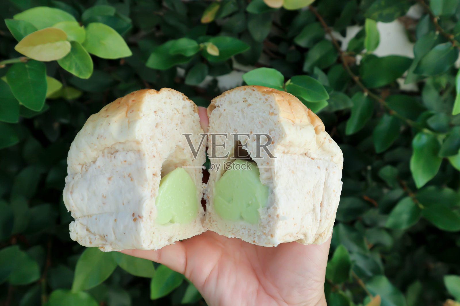 面包或面包与蛋奶沙塞或蒸蛋奶沙包，泰国蛋奶沙包或泰国潘达努斯蛋奶沙司照片摄影图片