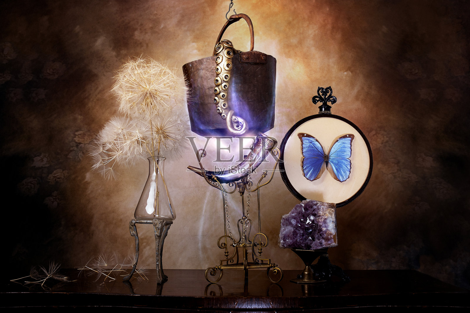 女巫的罐头照片摄影图片