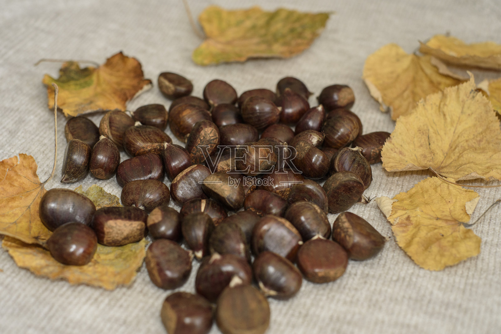 褐色表面上有黄叶的栗子照片摄影图片