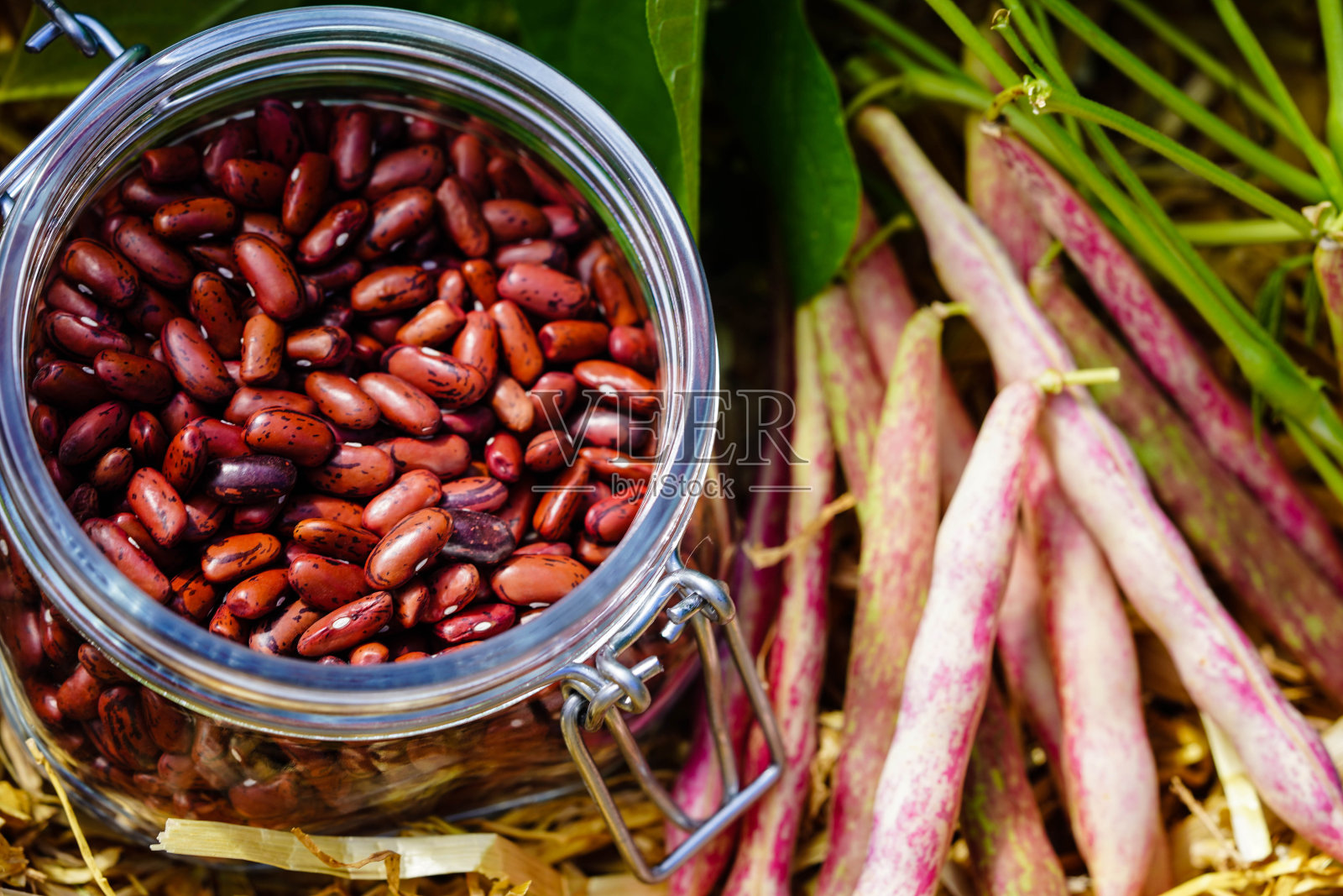 博嫩照片摄影图片