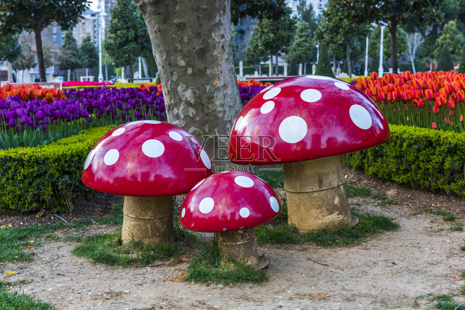 植物园内的蘑菇装饰与郁金香。照片摄影图片