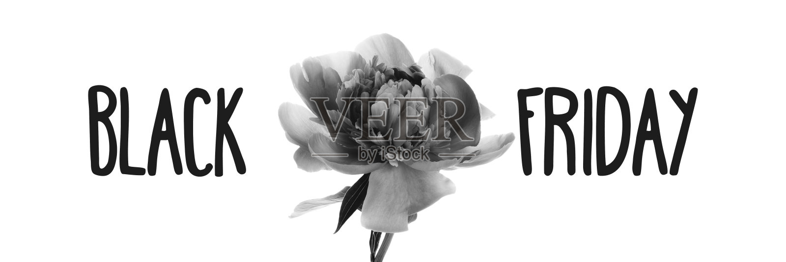 黑色星期五标志在白色背景与牡丹旗帜照片摄影图片