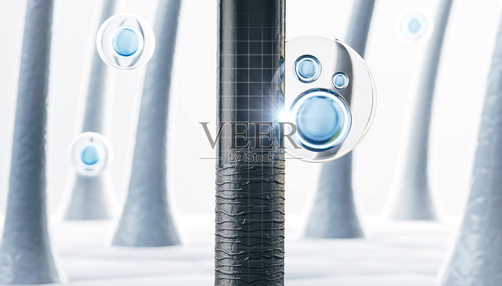 头发护理和头发护理概念背景，维生素或血清洗发水，损伤头发修复，3d渲染。照片摄影图片