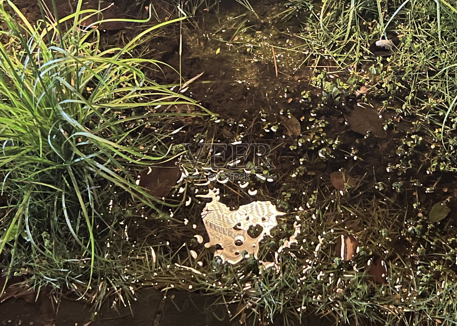 以草为背景的心形泥氹仔的光反射照片摄影图片