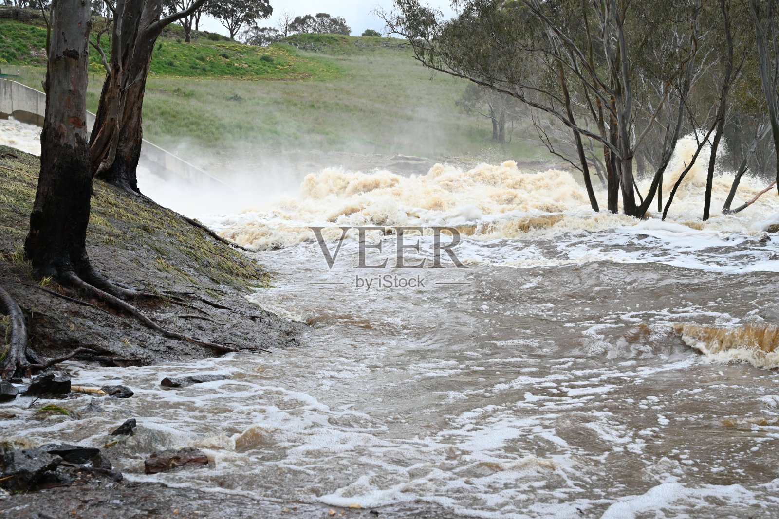 2011年日本地震和海啸照片摄影图片