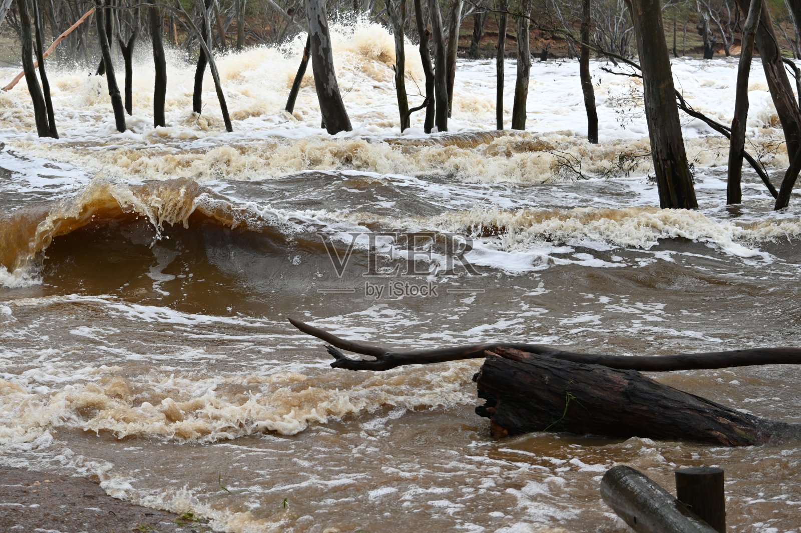 2011年日本地震和海啸照片摄影图片