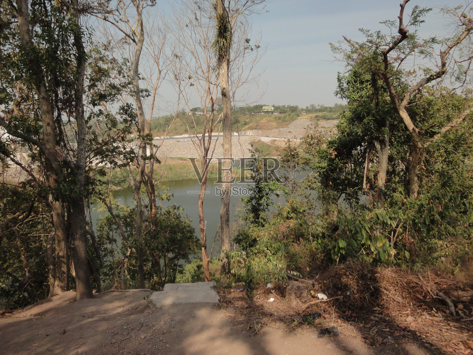 生长在湖边的树木和灌木。远处的水面照片摄影图片
