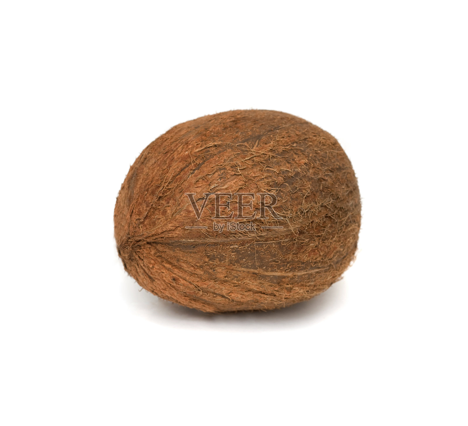 白色上分离的椰子照片摄影图片