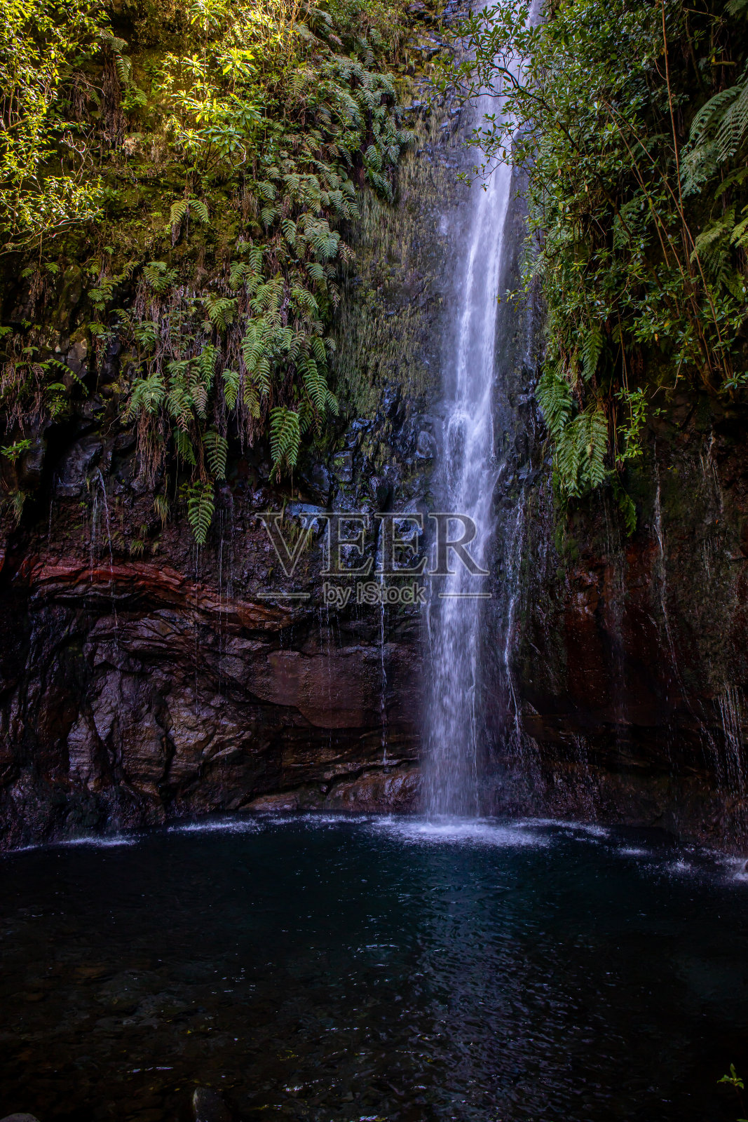 再度浮现在达里达照片摄影图片