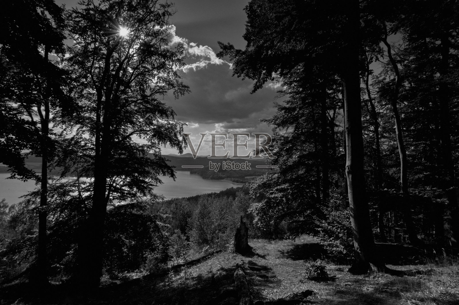 捷克斯塔雷斯普拉维 - 2022 年 8 月 12 日：马查湖照片摄影图片