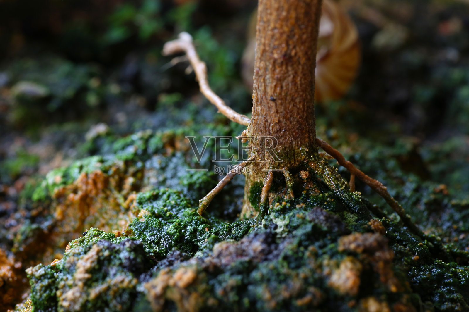 旅游热照片摄影图片