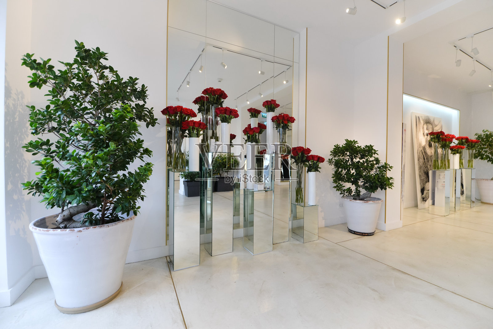 白色的大厅里，靠近镜子的花瓶里装着美丽的玫瑰照片摄影图片