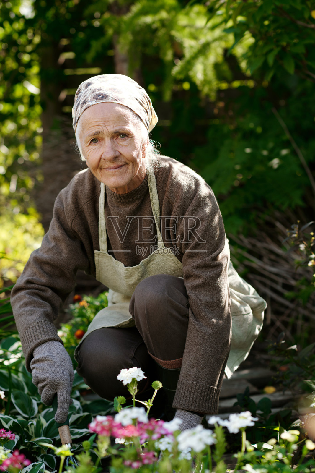 穿着围裙、套头衫和头巾的现代高级女性看着相机照片摄影图片